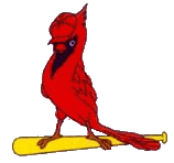 Former Cardinals GM (Stein) Avatar