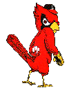 Cardinal's Logo
