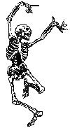 Skeleton